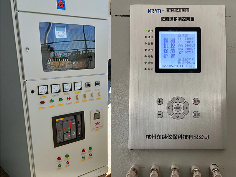 防逆流保護裝置（1）
